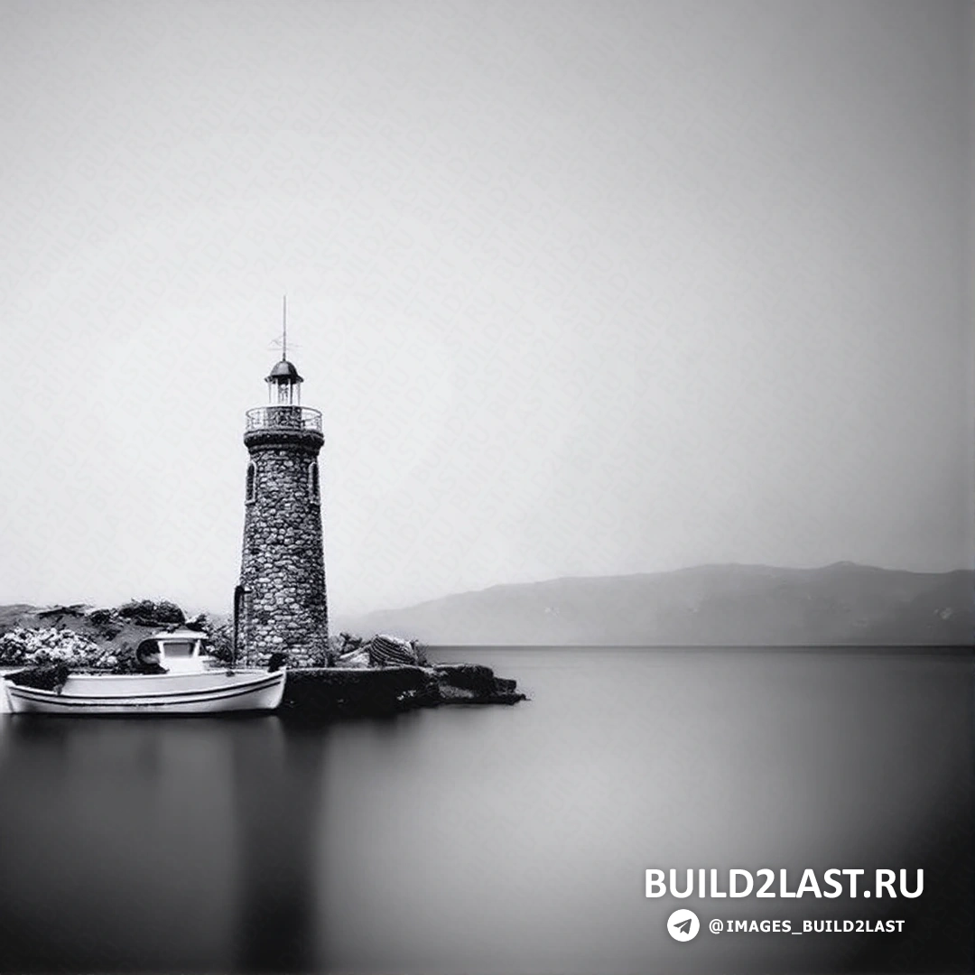 Черно-белая фотография с изящным сочетанием светлых и темных тонов.